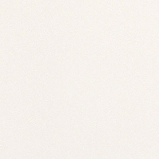 #009 Pearl White