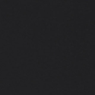 #313 Matte Black