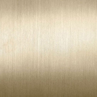 #318 Champagne Steel