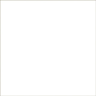 #404 SSF White