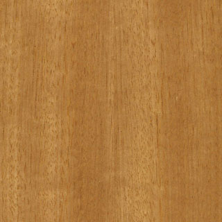 #166 Quarter Cut Non-Figured Eucalyptus