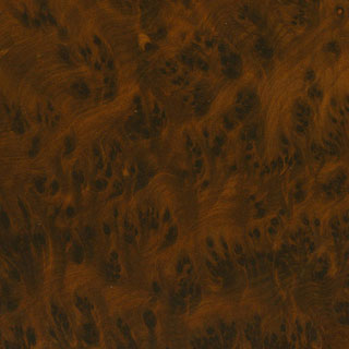 #167 Thuya Burl