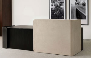 Cloak Reception #149 Ebonized Ash 1 - thumb