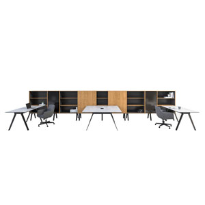 Gait Modular Conferencee - thumb